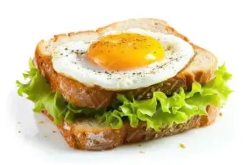 EGG SANDWICH